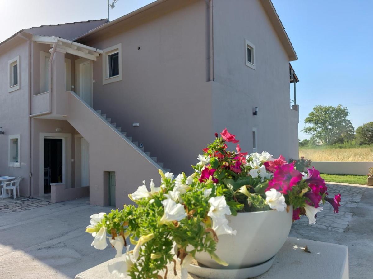 Evelina Luxury Suites In Corfu Ypsos Exteriér fotografie